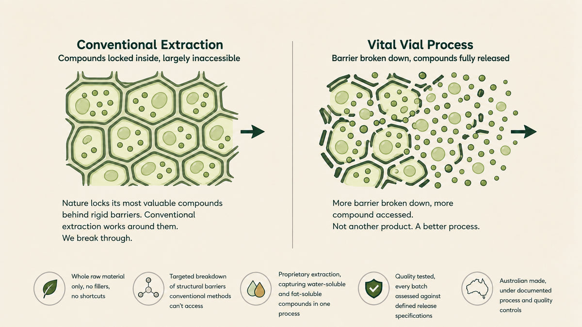 Diagram comparing conventional extraction, where compounds stay locked inside intact cell walls, with the Vital Vial process, where the barrier is broken down and compounds are released. Noted beneath: whole raw material only, targeted breakdown of structural barriers, proprietary extraction capturing water-soluble and fat-soluble compounds in one process, every batch assessed against defined release specifications, and Australian manufacture under documented process and quality controls.
