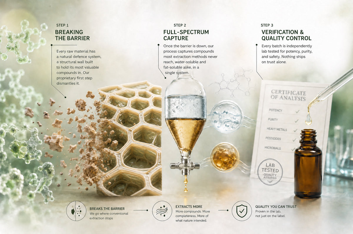 Three-step diagram of the Vital Vial extraction process. Step 1, breaking the barrier: every raw material has a structural wall holding its compounds in, which the first step dismantles. Step 2, full-spectrum capture: the process captures water-soluble and fat-soluble compounds in a single system. Step 3, verification and quality control: every batch is independently lab tested for potency, purity and safety.