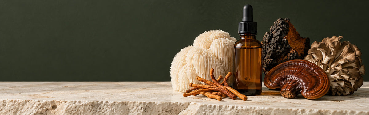 Lion's Mane, cordyceps, chaga, reishi and maitake mushrooms beside an amber liquid extract bottle on stone