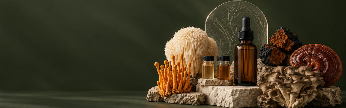 Sealed amber mushroom extract bottles arranged for batch verification