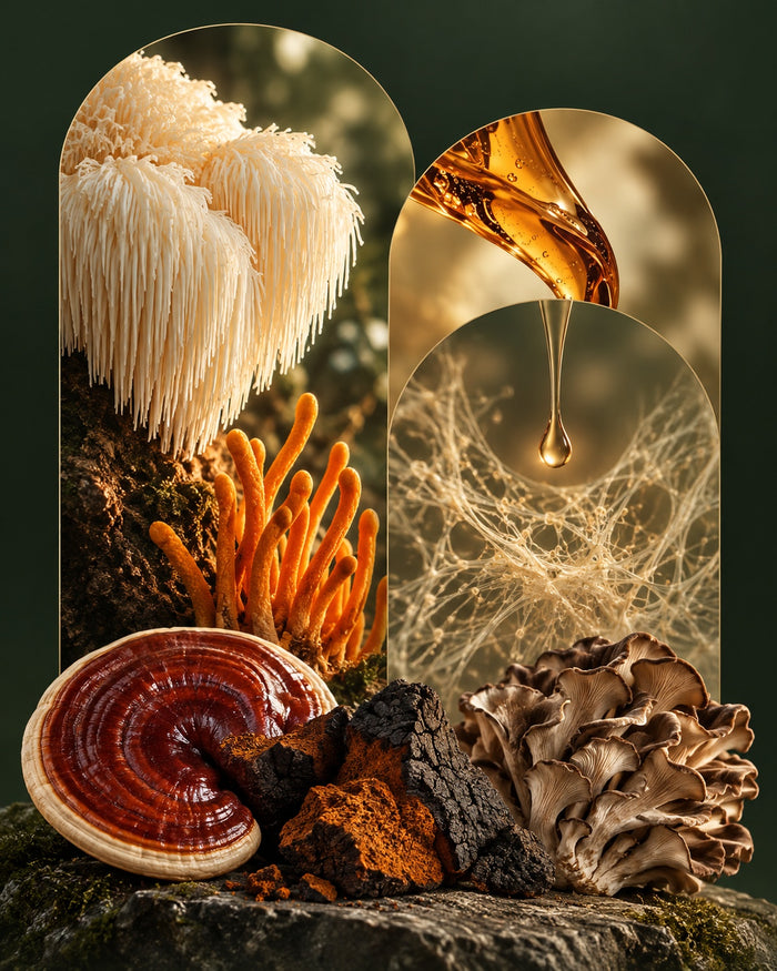 Mushroom extraction composition in arched frames