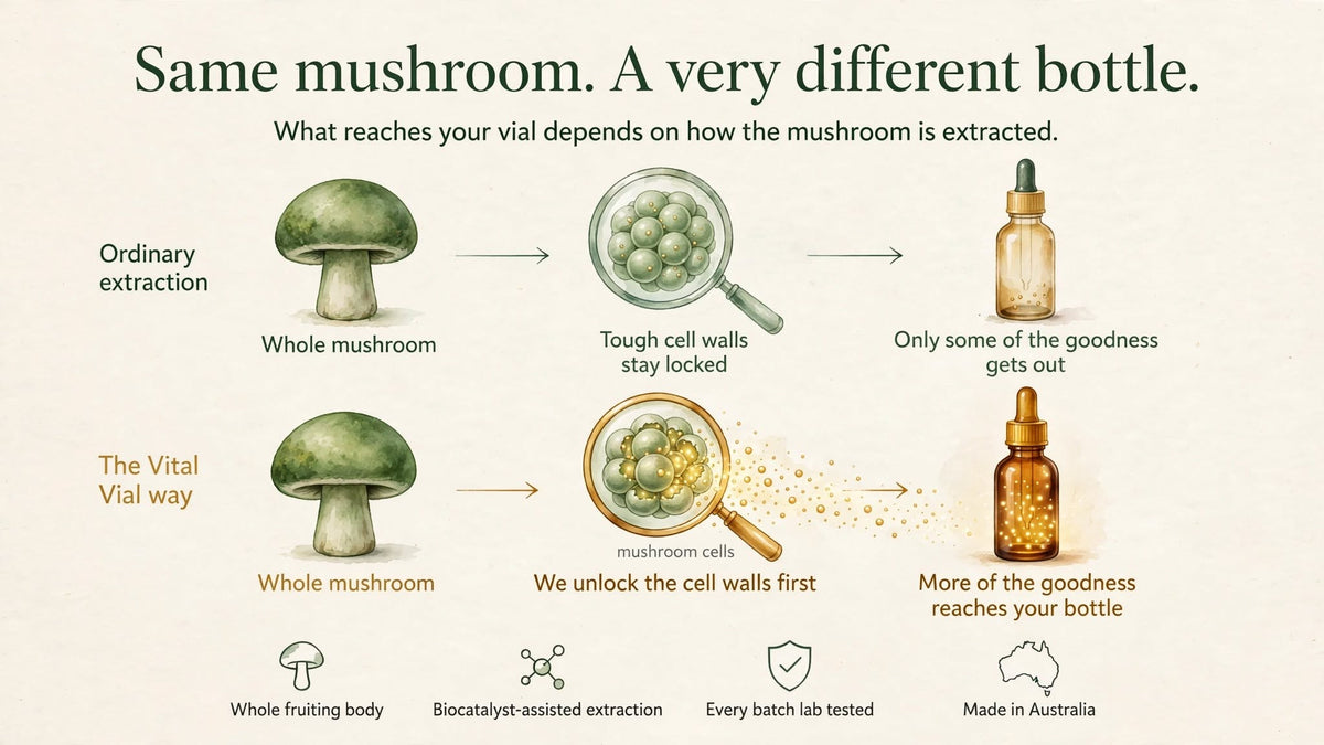 Infographic comparing ordinary mushroom extraction, where tough cell walls stay locked and only some of the goodness gets out, with the Vital Vial way, which unlocks the cell walls first so more of the goodness reaches the bottle